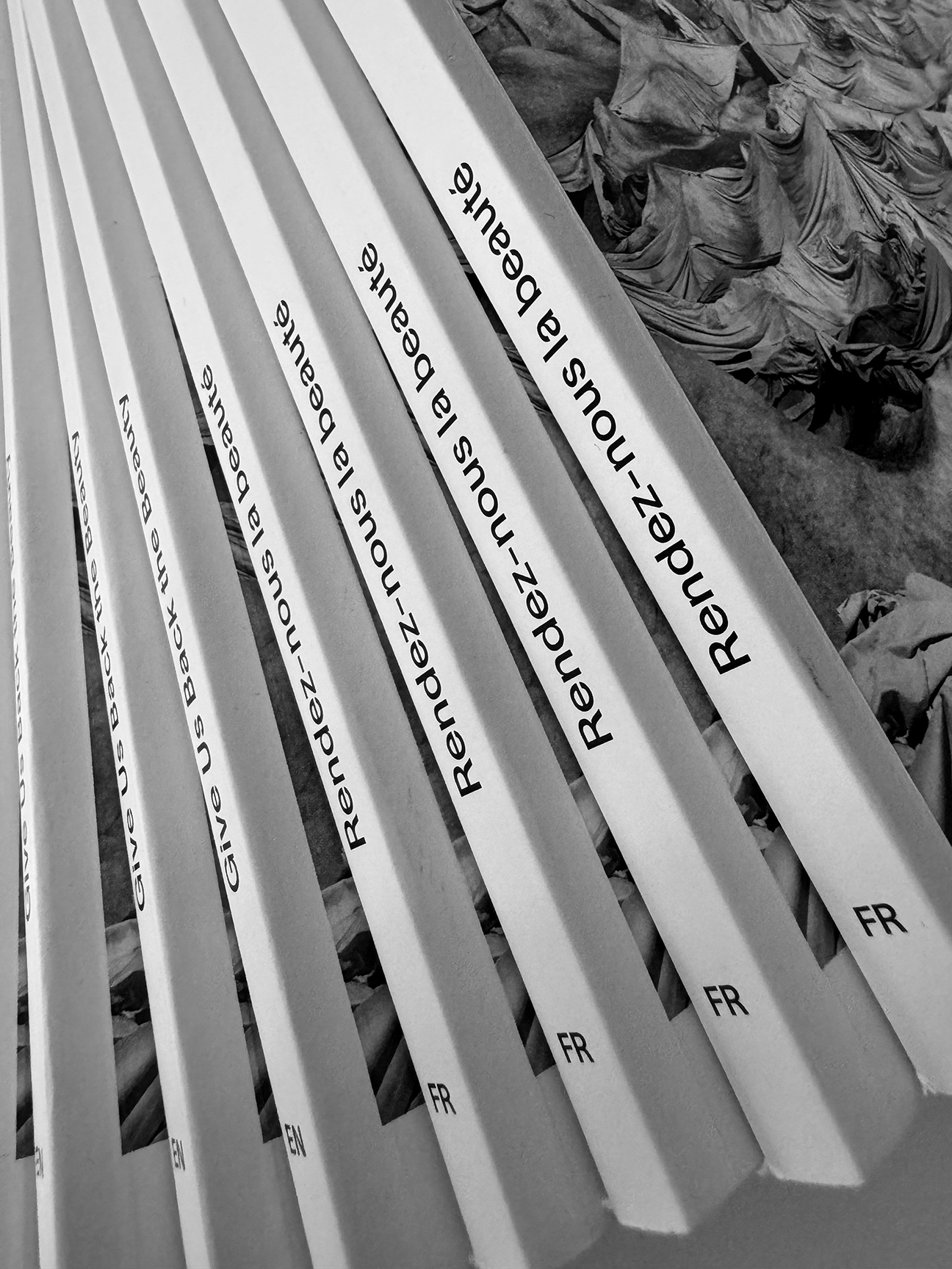 Fabien-cuffel-typographiste-graphiste_typosuisse_swissgraphicdesign_Edition_Artiste_Garo_Rendez-nous-la-beaute_Glacier_Museum-histoire-naturelle_Geneve