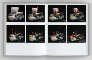 Fabien-cuffel-typographiste-graphiste_typosuisse_swissgraphicdesign_Edition_Garo_Rendez-nous-la-beaute_Glacier_Museum-histoire-naturelle_Geneve