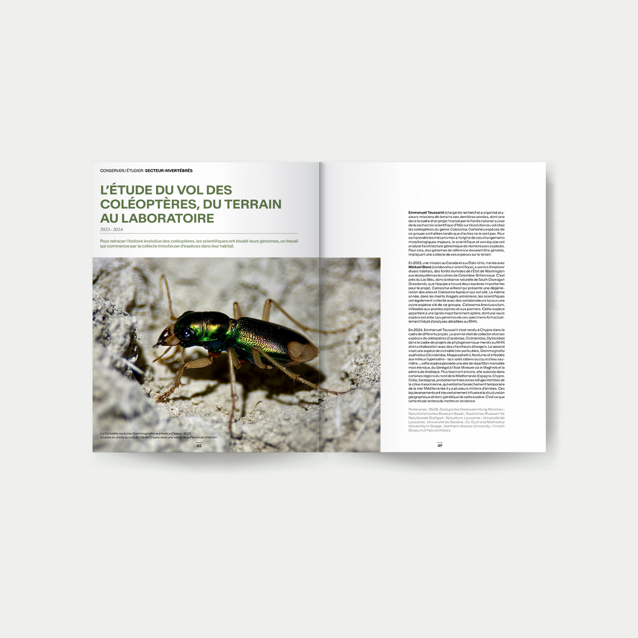 Fabien-cuffel-typographiste-graphiste_swissgraphicdesign_Edition_Rapport-Activite_Musee-histoire-naturelle_Geneve_Suisse_Livre