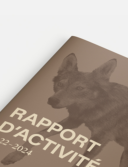 Museum Geneve – Rapport d&rsquo;activité